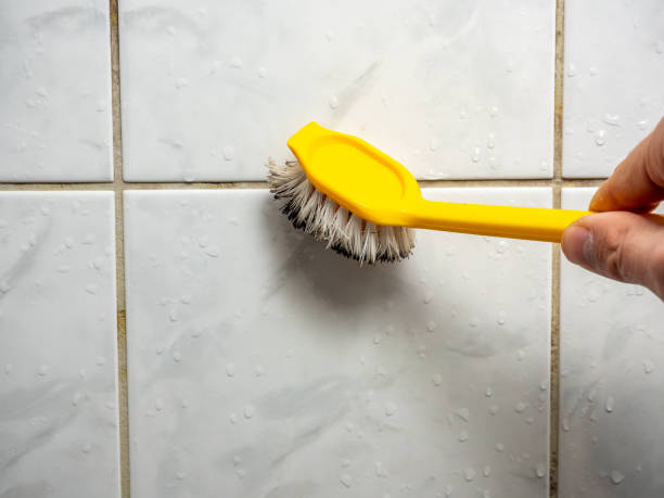 Best Mold Removal Near Me  in Woodhaven, MI