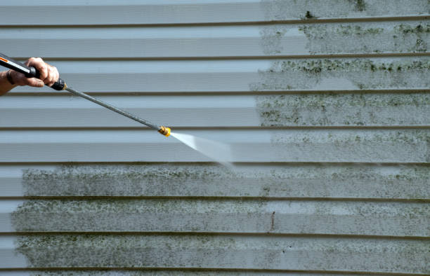 Office Mold Removal Services in Woodhaven, MI