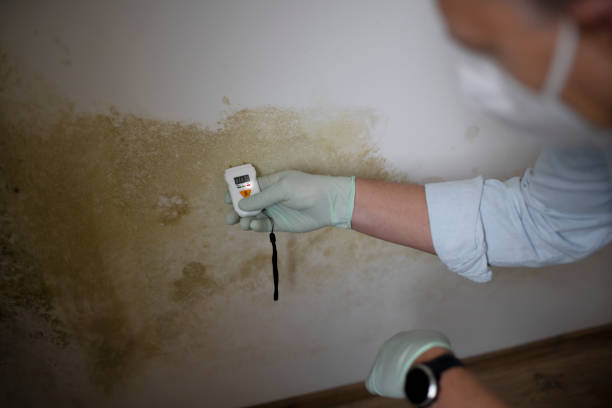 Water Damage Restoration in Woodhaven, MI