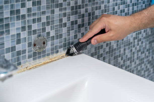 Best Mold Cleaning Services  in Woodhaven, MI