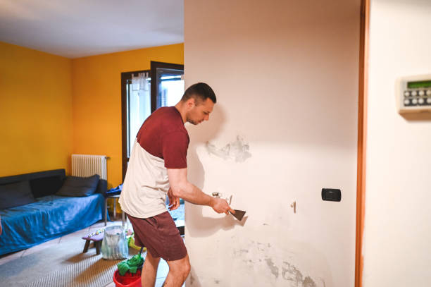 Best Mold Removal Specialists  in Woodhaven, MI